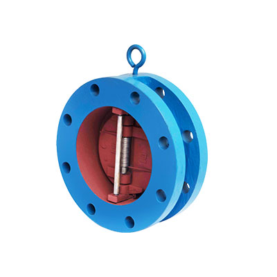 CI Dual Plate Check Valve Manufacturer in Kolkata