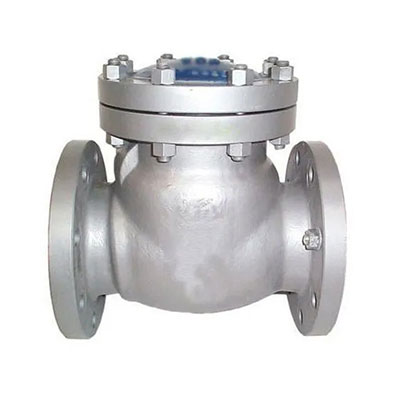 Cast CS Swing Check Valves Flange Manufacturer - Kolkata